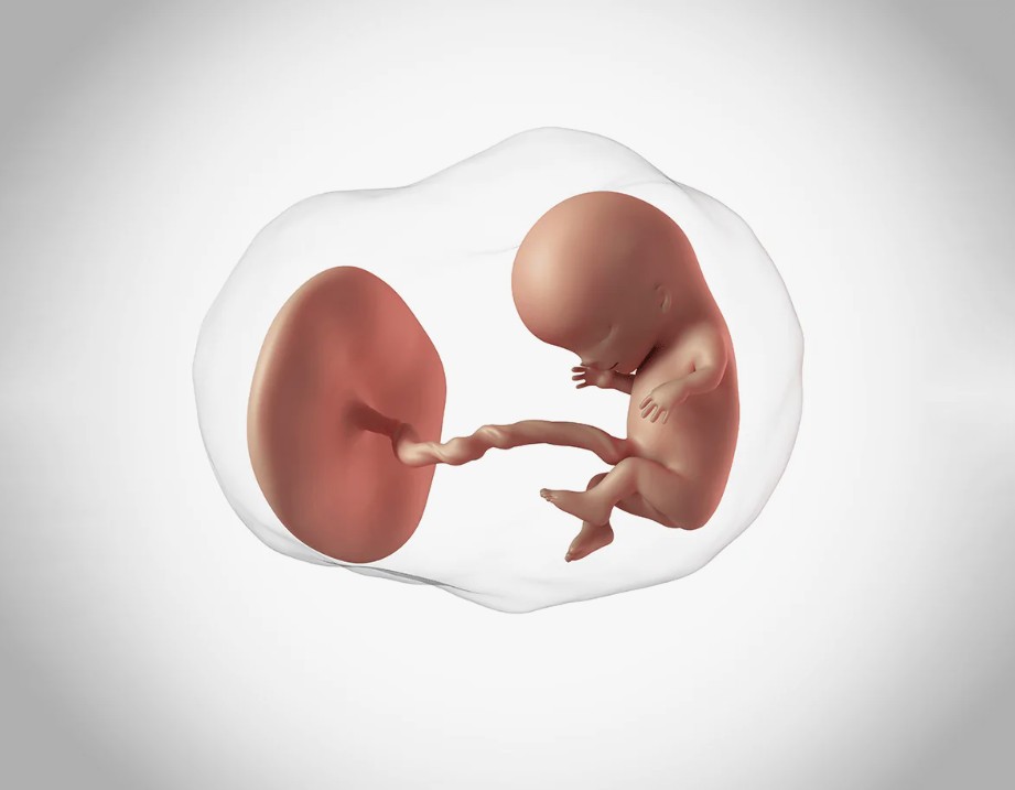 Dış Gebelik Tedavisi